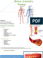 Insuficiencia Vascular (1)