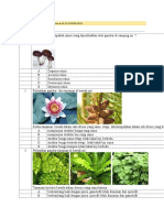 Optimized Title for Biology Cross Interest Document