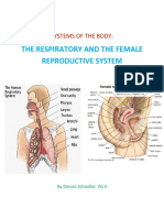 Systems of The Body