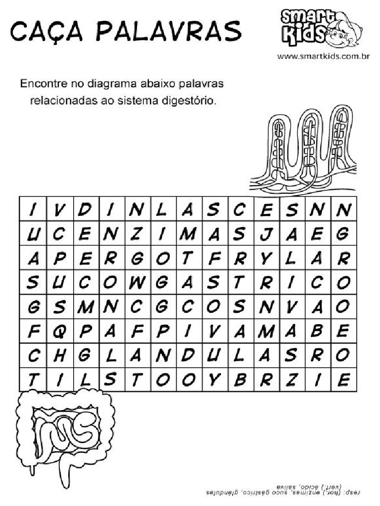 Sistema Digestorio Caca-Palavras | PDF, image size:768x1024
