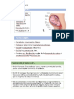 Cuarta Clase Segunda Parte