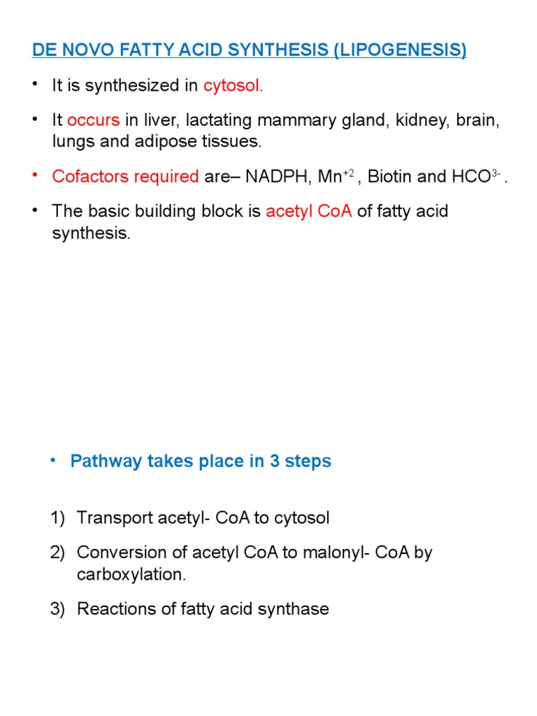 De Novo Fatty Acid Synthesis (Lipogenesis) | PDF