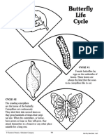 Butterfly Life Cycle