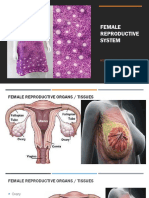 Female Reproductive Histology