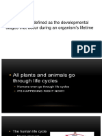 A Life Cycle Is Defined As The Developmental Stages That Occur During An Organism's Lifetime