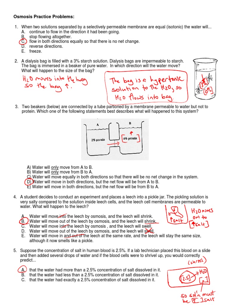 Osmosis Practice Problems and Solutions | PDF | Osmosis | Chemistry