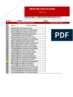 0009-0011 N1 DRCSSP Grupo Sur-S175-N1