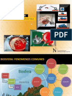 Introducción A La Microbiología Ambiental Semana 01