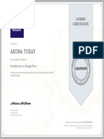 Aruna Turay: Course Certificate