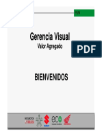 Gerencia Visual Sesion 2