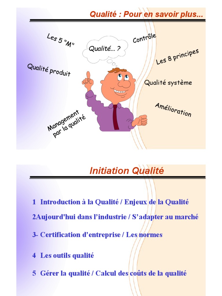 Initiation à la Qualité en Entreprise | PDF | Management de la qualité ...