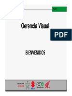 Gerencia Visual Sesion 3 y 4