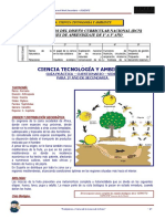 Diversificación Curricular Mosca de La Fruta