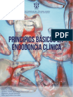Principios básicos en Endodoncia