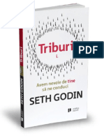 Triburi- Seth Godin