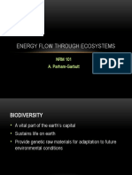 Energy Flow Through Ecosystems: NRM 101 A. Parham-Garbutt