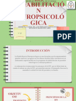 Principios de La Rehabilitación Neuropsicologica