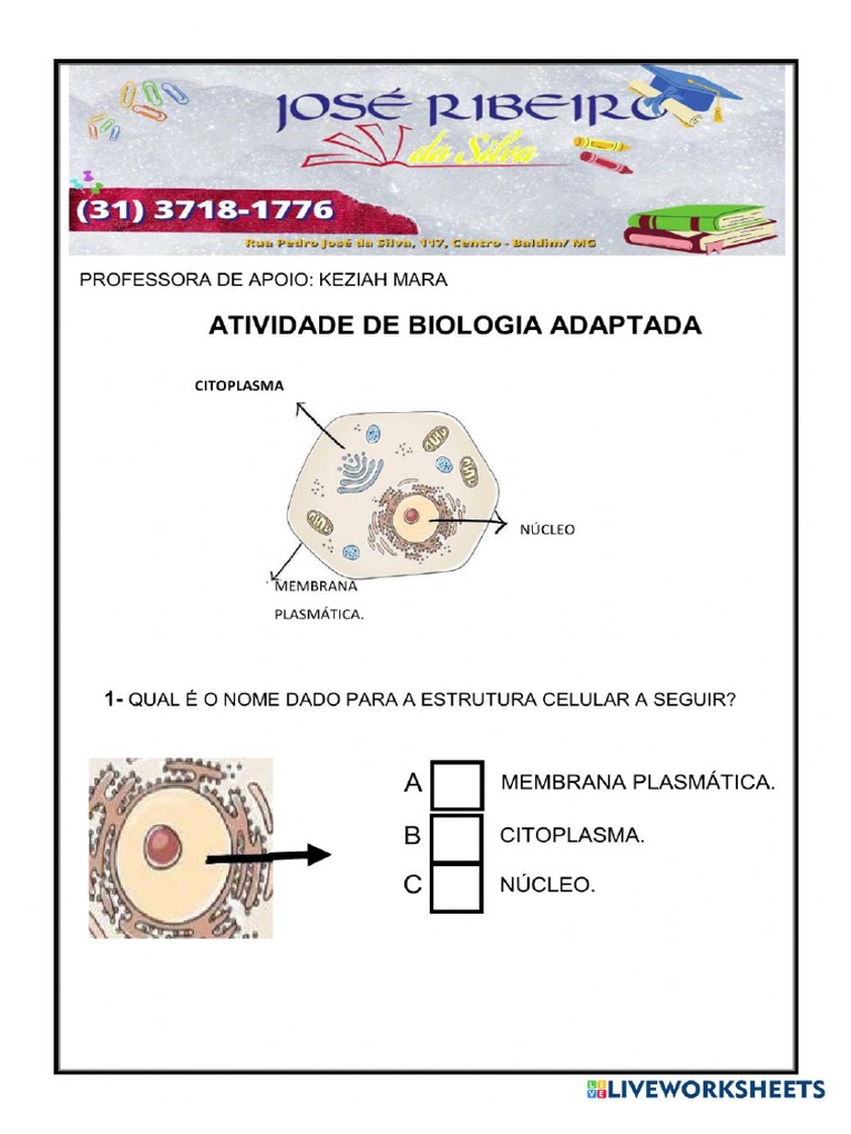 Atividade de Biologia - 1 Ano Do Ensino Médio | PDF