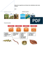 Ambientes influenciam formas e locomoção dos animais