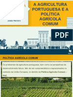 A Agricultura Portuguesa e A Política Agrícola Comum