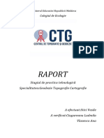 Raportul Finisat1