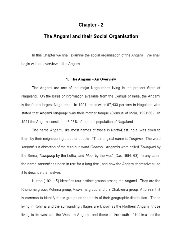 Angami Tribe: Social Structure Overview | PDF | Marriage | Kinship