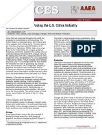 Trends & Issues Facing The US Citrus Industry