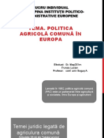 Lucru Individual Politica Agricolă Comună În Europa