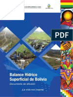 1. BH Superficial de Bolivia (MMAyA)