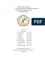 Laporan Isolasi Dan Identifikasi - Kelompok 2