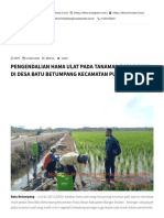 PENGENDALIAN HAMA ULAT PADA TANAMAN PADI SAWAH DI DESA BATU BETUMPANG KECAMATAN PULAU BESAR - Dinas Pertanian, Pangan, Perikanan Bangka Selatan