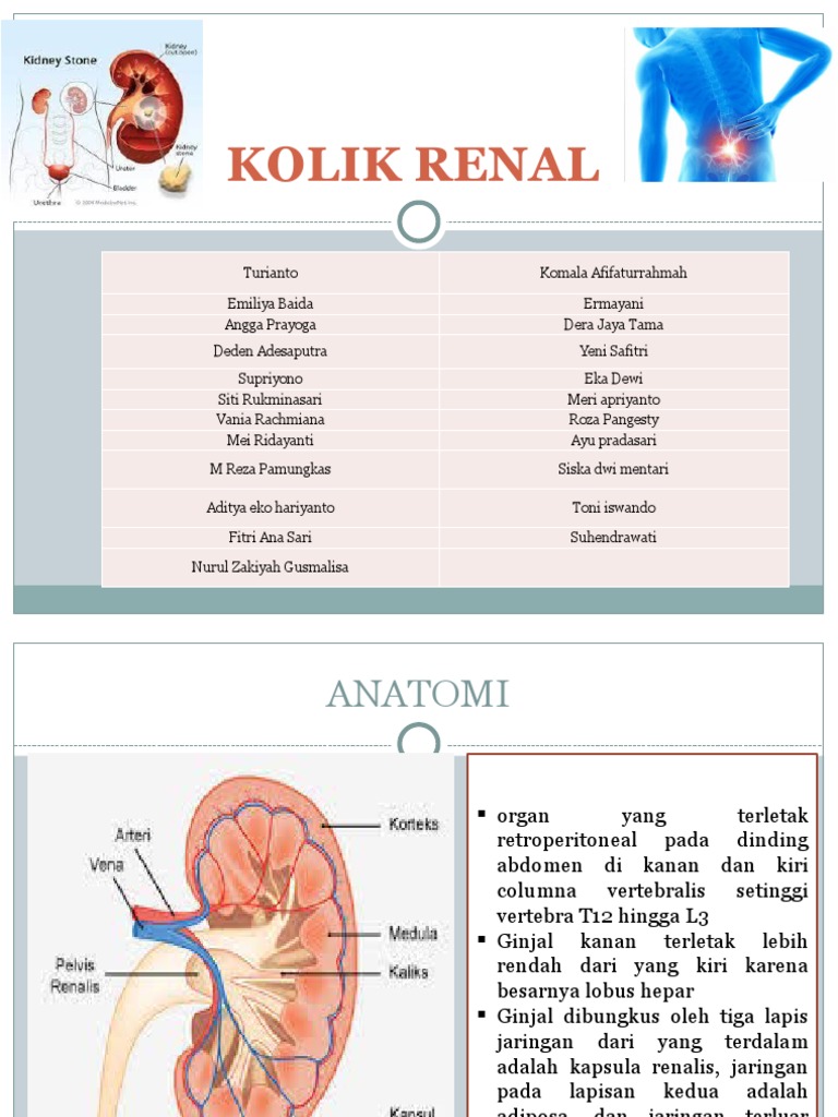 kolik-renal-pdf