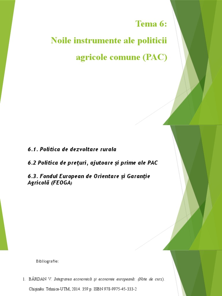 Tema 6. Noile Instrumente Ale PAC | PDF