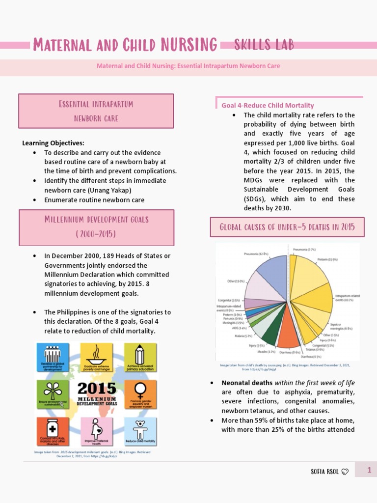 Maternal and Child Nursing - Essential Intrapartum Newborn Care | PDF ...