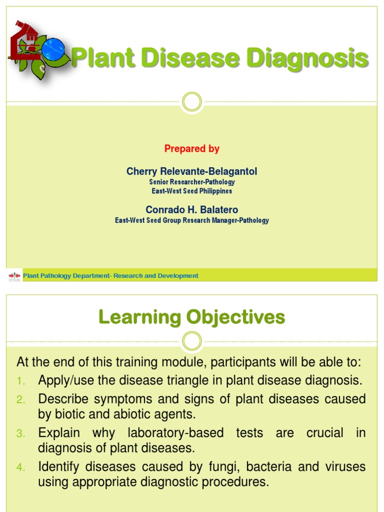 Plant Disease Diagnosis Guide | PDF | Elisa | Plant Pathology