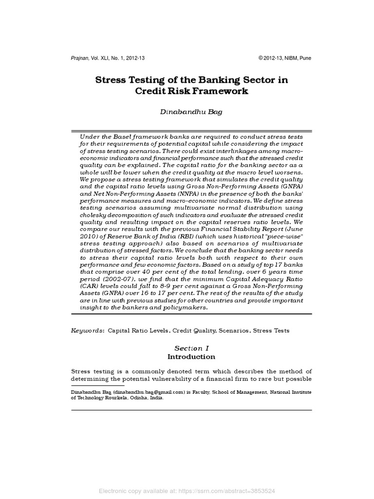 02 Stress Testing in Credit Risk Framework | PDF | Stress Test ...