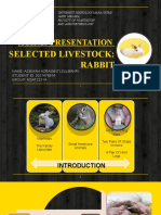 Agr425 Presentation: Selected Livestock: Rabbit