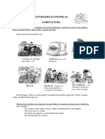 Atividades Económicas AGRICULTURA + PECUÁRIA