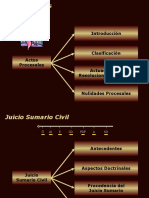 Procedimientos Especiales Civiles y Mercantiles Presentacion