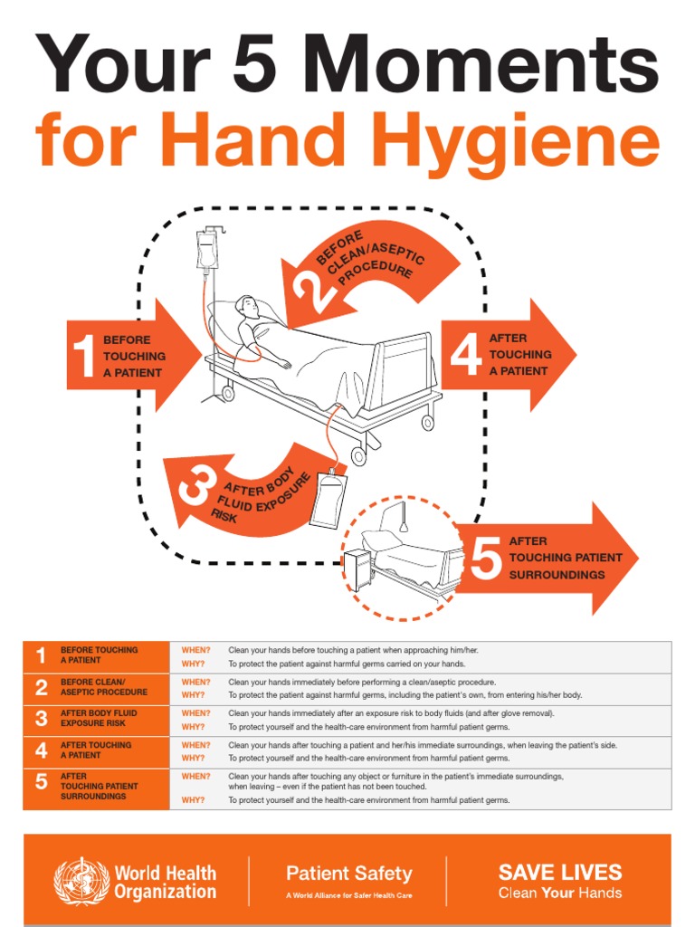 Your 5 Moments for Hand Hygiene Poster Hygiene Infection Control