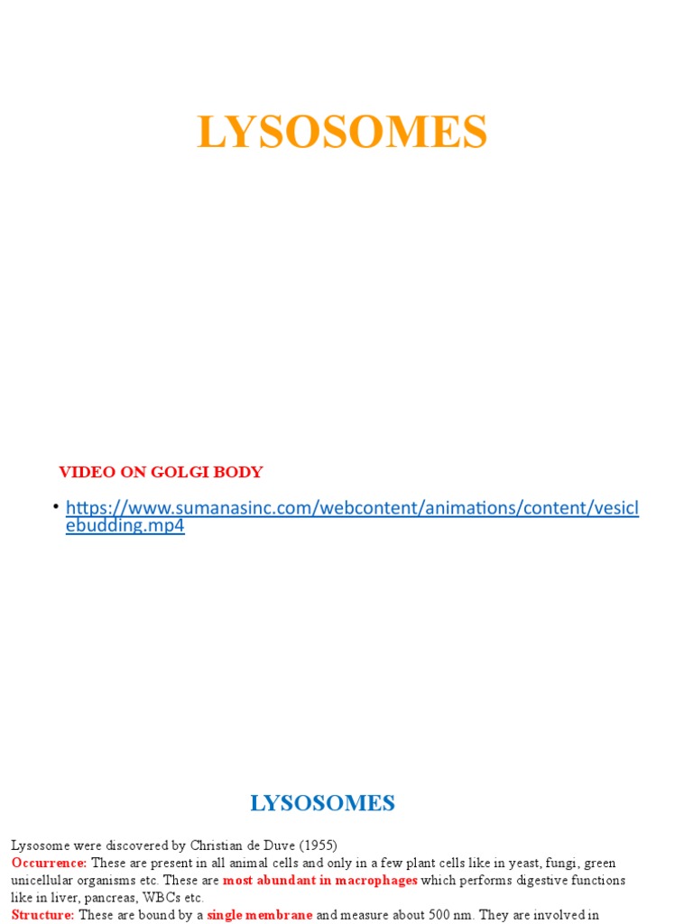 Overview of Lysosomes and Their Functions | PDF | Lysosome | Vacuole