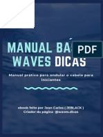 Manual WAVES DICAS para Iniciantes