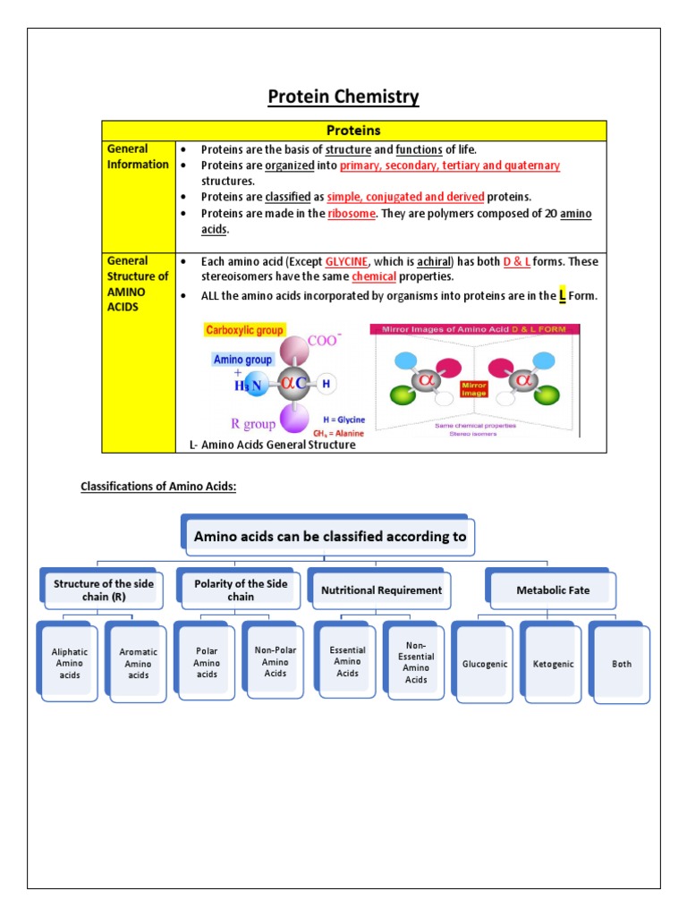 Lecture 2 - Amino Acids & Protein Chemistry | PDF | Amino Acid | Proteins
