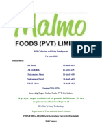 Malmo Foods Final Report
