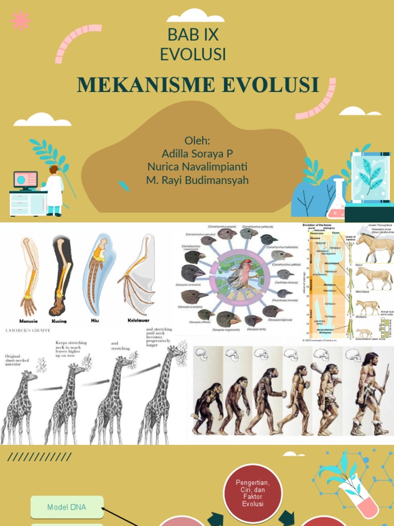 Mekanisme dan Bukti Evolusi | …