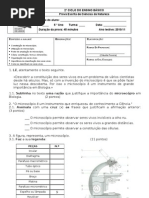 teste CN5ano microscópio_celula_classificacao_2010-11alterado_nee