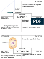Nucleus: Structure Function The Nucleus Controls and Regulates The Activities of The Cell