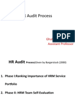 HR Audit Process: Ghulam Muhammad Assistant Professor