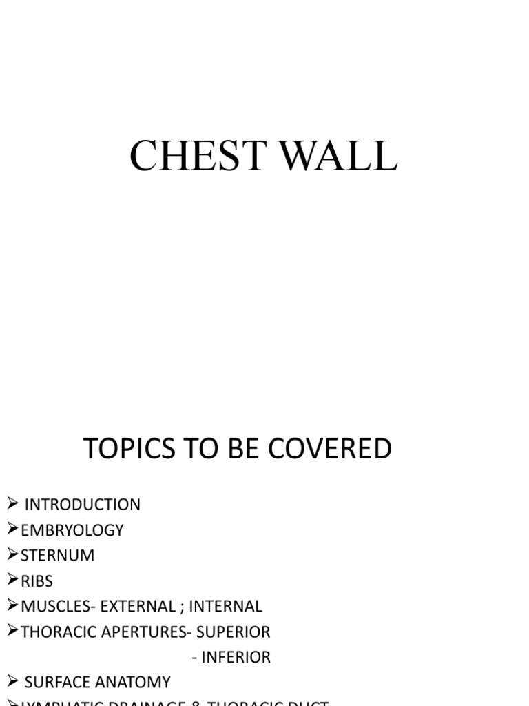 Chest Wall Anatomy and Embryology | PDF | Thorax | Aorta