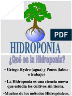hidroponia-110730100746-phpapp01